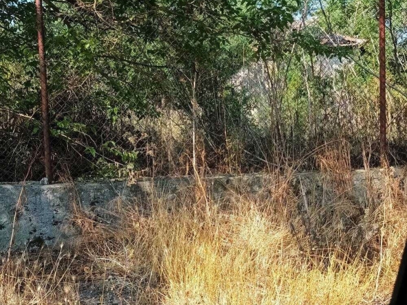 Къща в с. Дуранкулак, Област Добрич - 50 кв.м за 560 €/кв.м - Снимка #1