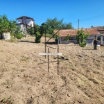 Парцел в с. Константиново, Област Варна - 600 кв.м за 47 €/кв.м - Снимка #1