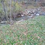 Парцел в Елена - 800 кв.м за 18 €/кв.м - Снимка #1