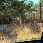 Къща в с. Дуранкулак, Област Добрич - 50 кв.м за 347 €/кв.м - Снимка #1