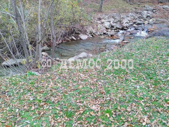 Парцел в Елена - 800 кв.м за 6 €/кв.м - Снимка #1