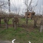 Парцел в с. Белозем, Област Пловдив - 1000 кв.м за 11 €/кв.м - Снимка #1