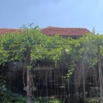 Къща в с. Средногорово, Област Стара Загора - 90 кв.м за 425 €/кв.м - Снимка #1