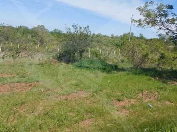 Парцел в с. Червен, Област Пловдив - 1500 кв.м за 19 €/кв.м - Снимка #1