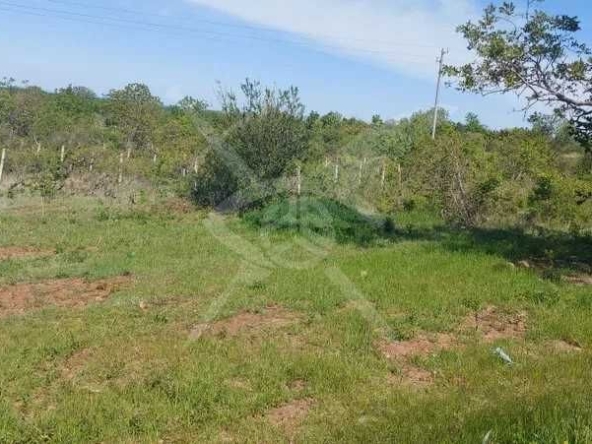 Парцел в с. Мулдава, Област Пловдив - 1500 кв.м за 11 €/кв.м - Снимка #1