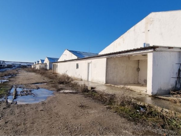 Промишлена сграда в с. Обнова, Област Плевен - 45322 кв.м за 20 €/кв.м - Снимка #1