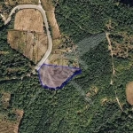 Парцел в с. Храбрино, Област Пловдив - 1500 кв.м за 26 €/кв.м - Снимка #1