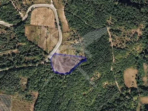 Парцел в с. Храбрино, Област Пловдив - 1500 кв.м за 26 €/кв.м - Снимка #1