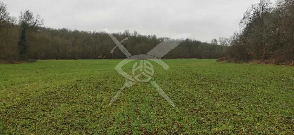 Парцел в с. Кошарица, Област Бургас - 8800 кв.м за 35 €/кв.м - Снимка #1