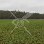 Парцел в с. Деветинци, Област Бургас - 12000 кв.м за 2 €/кв.м - Снимка #1