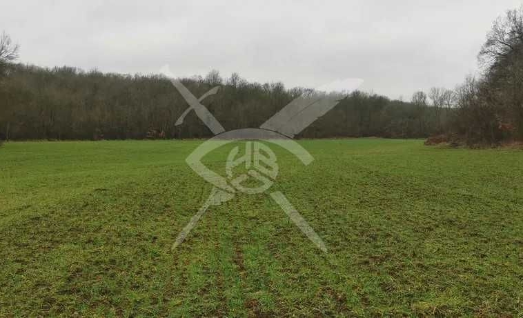 Парцел в с. Деветинци, Област Бургас - 12000 кв.м за 2 €/кв.м - Снимка #1