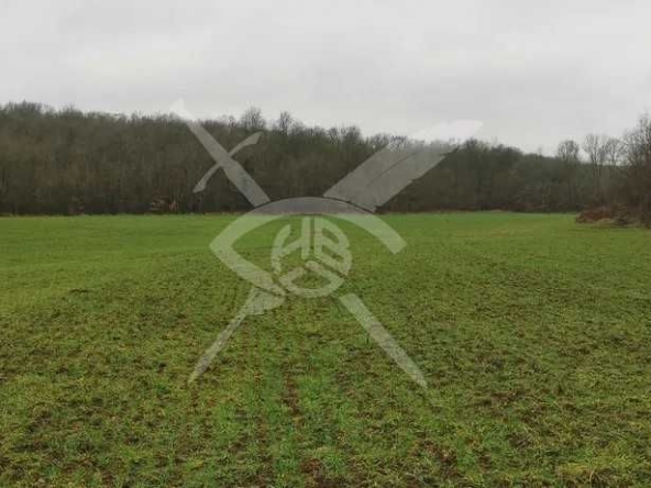 Парцел в с. Кошарица, Област Бургас - 8800 кв.м за 18 €/кв.м - Снимка #1