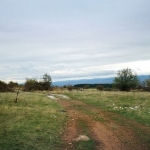 Парцел в с. Нови хан, Област София-област - 4463 кв.м за 19 €/кв.м - Снимка #1