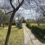 Парцел в с. Братя Кунчеви, Област Стара Загора - 970 кв.м за 8 €/кв.м - Снимка #1