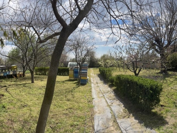 Парцел в с. Братя Кунчеви, Област Стара Загора - 970 кв.м за 8 €/кв.м - Снимка #1