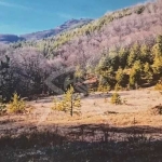 Парцел в Асеновград - 4000 кв.м за 60 €/кв.м - Снимка #1