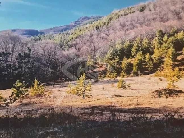 Парцел в Асеновград - 4000 кв.м за 60 €/кв.м - Снимка #1