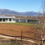 Къща в с. Копринка, Област Стара Загора - 1631 кв.м за 110 €/кв.м - Снимка #1