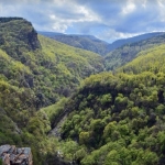 Парцел в с. Храбрино, Област Пловдив - 279 кв.м за 25 €/кв.м - Снимка #1