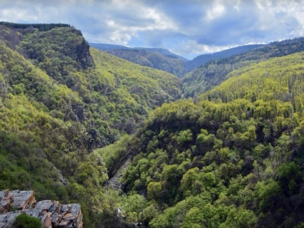 Парцел в с. Храбрино, Област Пловдив - 279 кв.м за 25 €/кв.м - Снимка #1