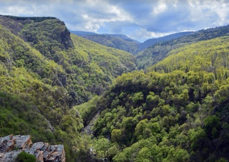 Парцел в с. Храбрино, Област Пловдив - 279 кв.м за 25 €/кв.м - Снимка #1