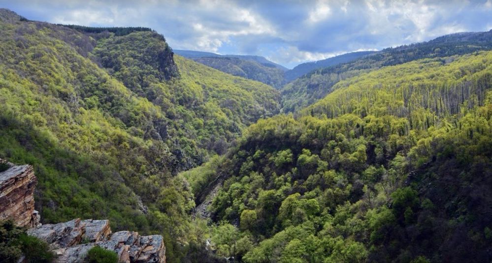 Парцел в с. Храбрино, Област Пловдив - 279 кв.м за 25 €/кв.м - Снимка #1