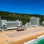 Едностаен апартамент в к.к. Златни пясъци - 32 кв.м за 1036 €/кв.м - Снимка #1