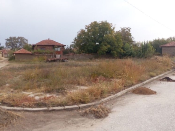 Парцел в с. Ивайло, Област Пазарджик - 850 кв.м за 15 €/кв.м - Снимка #1