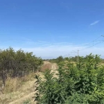 Парцел в Асеновград - 2997 кв.м за 8 €/кв.м - Снимка #1