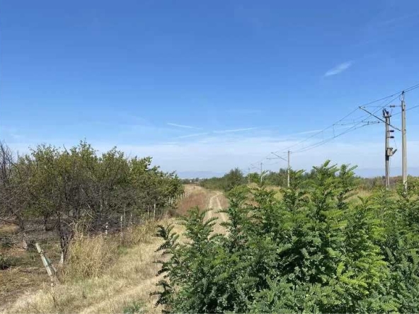 Парцел в Асеновград - 2997 кв.м за 8 €/кв.м - Снимка #1