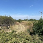 Земеделски имот в Асеновград -  кв.м за 15000 €/дка - Снимка #1