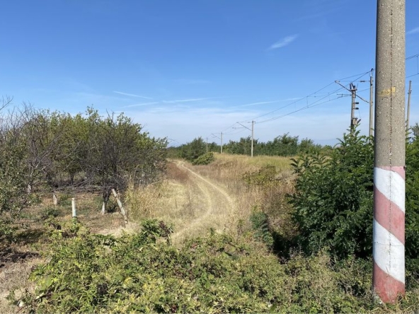 Земеделски имот в Асеновград -  кв.м за 15000 €/дка - Снимка #1