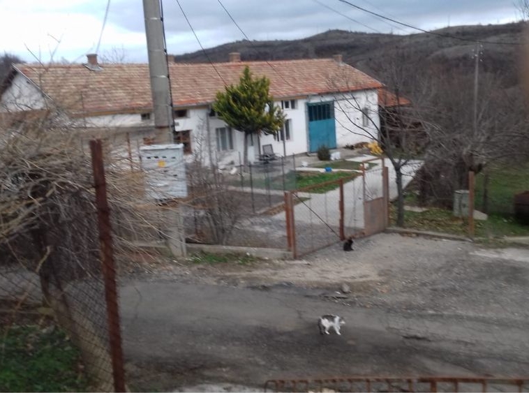 Къща в с. Звездел, Област Кърджали - 80 кв.м за 255 €/кв.м - Снимка #1