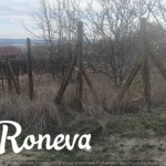 Парцел в Варна, Левски - 600 кв.м за 41 €/кв.м - Снимка #1