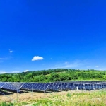 Парцел в с. Иново, Област Видин - 12000 кв.м за 113 €/кв.м - Снимка #1