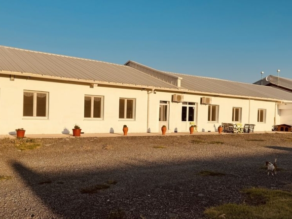 Склад в Съединение - 12000 кв.м за 155 €/кв.м - Снимка #1