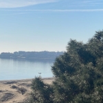 Дава се под наем Двустаен апартамент в к.к. Слънчев бряг - 80 кв.м за 918 € - Снимка #1