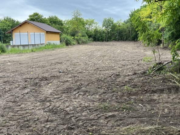 Парцел в Козлодуй - 1500 кв.м за 21 €/кв.м - Снимка #1