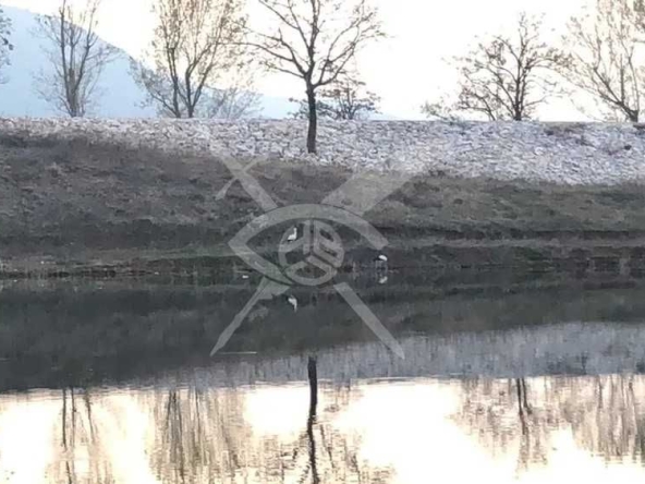 Парцел в с. Мулдава, Област Пловдив - 4600 кв.м за 5 €/кв.м - Снимка #1