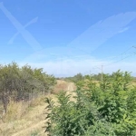 Парцел в Асеновград - 2759 кв.м за 17 €/кв.м - Снимка #1