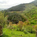 Къща в с. Гълъбово, Област Смолян - 54 кв.м за 649 €/кв.м - Снимка #1