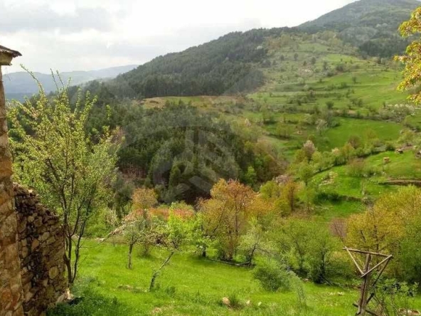 Къща в с. Гълъбово, Област Смолян - 54 кв.м за 649 €/кв.м - Снимка #1