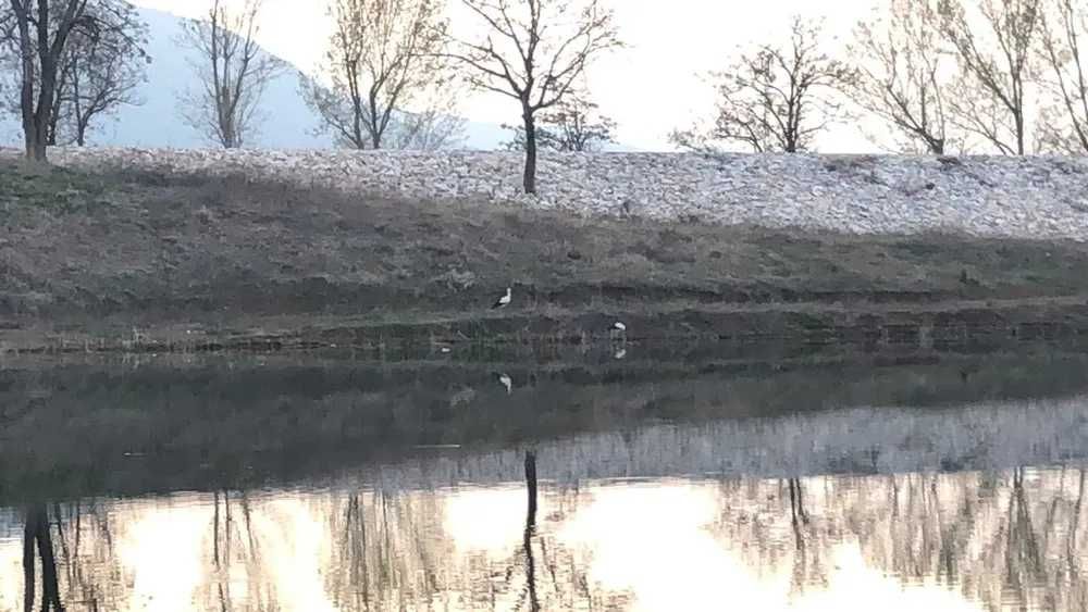 Земеделски имот в Асеновград -  кв.м за 5440 €/дка - Снимка #1