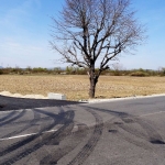 Земеделски имот в Севлиево -  кв.м за 7650 €/дка - Снимка #1