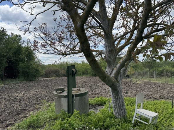 Парцел в с. Осеново, Област Варна - 700 кв.м за 13 €/кв.м - Снимка #1