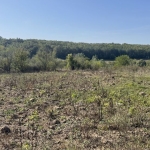 Парцел в с. Кривини, Област Варна - 616 кв.м за 20 €/кв.м - Снимка #1