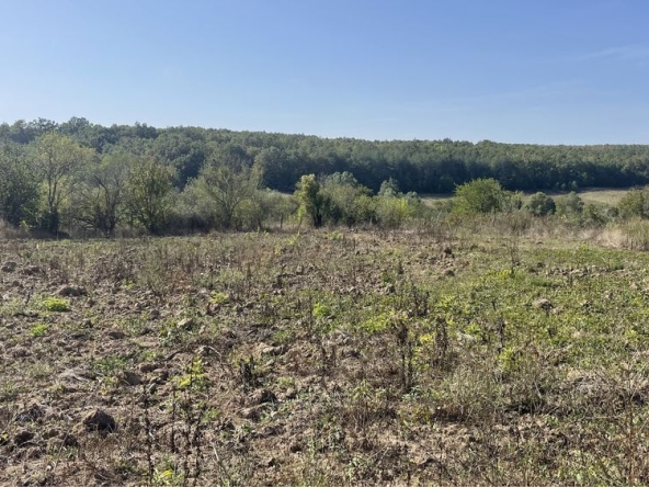Парцел в с. Кривини, Област Варна - 616 кв.м за 20 €/кв.м - Снимка #1