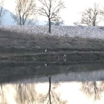 Земеделски имот в Асеновград -  кв.м за 5440 €/дка - Снимка #1