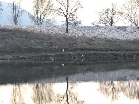 Земеделски имот в Асеновград -  кв.м за 5440 €/дка - Снимка #1