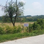 Парцел в Елена - 2000 кв.м за 7 €/кв.м - Снимка #1